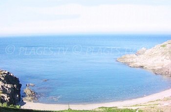 Plage de l'Oli - Collioure