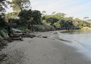 Plage de l'Estanci - Hyères