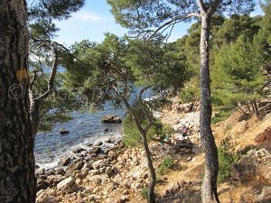 Plage de l'Anglaise - Bandol