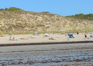 Plage Peu Ragot - La Couarde-sur-Mer