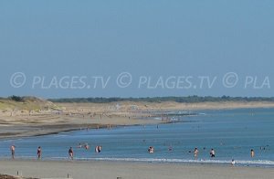 Plage des Follies - La Couarde-sur-Mer