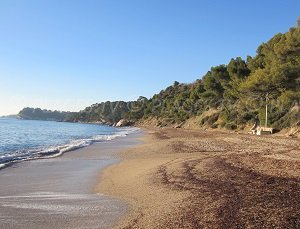 Spiaggia Le Monaco