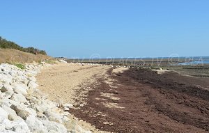 Plage de la Grange Ile de Ré - Pointe de Grignon - Ars-en-Ré