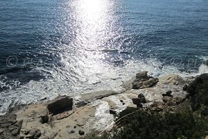 Plage des Bau Rouges - Carqueiranne