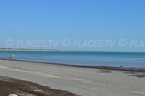 Plage du Martray Ile de Ré - Ars-en-Ré