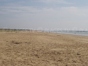 Plage des Chardons - La Faute-sur-Mer