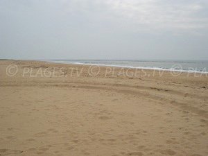 Plage naturiste de la Pointe d'Arçay - La Faute-sur-Mer