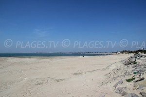 Plage de la Tamarissière - Grau d'Agde