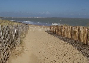 Plage les Acacias