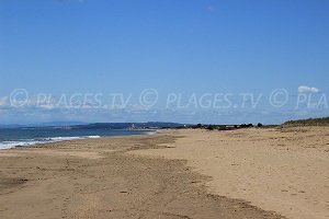 Plage du Bosquet