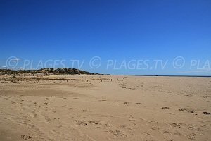 Plage Ouest - Portiragnes