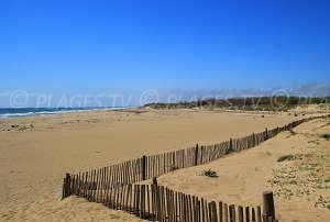 Plage La Séoune - Sérignan