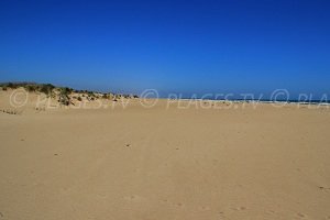 Spiaggia Orpellières - Sérignan