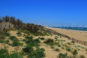 Plage de la Chapelle - Sérignan