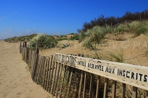 Spiaggia Naturista - Sérignan