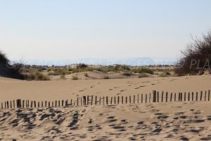 Plage de l'Espiguette - Port Camargue