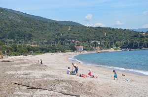 Spiaggia di Sagona