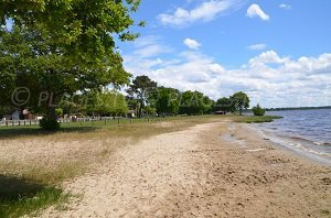 Plage Moutchic - Lac de Lacanau