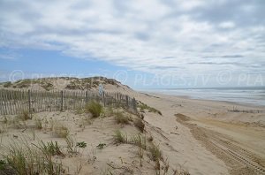 Plage du Pin Sec - Naujac-sur-Mer