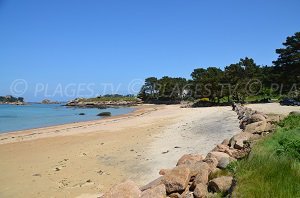 Plage de Quo Vadis - Trégastel