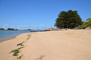 Plage de Ty Néouis - Trégastel