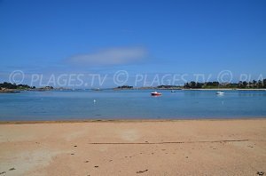 Plage de Sainte Anne - Trégastel