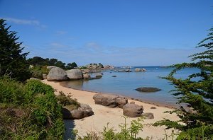 Plage de Ti Al Lia - Ile Renote - Trégastel