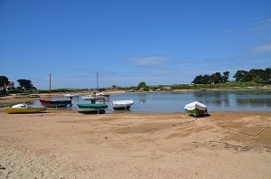 Plage des Goélands - Trégastel