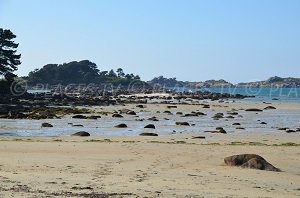 Plage de Grannec