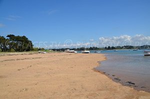 Plage de l'Ile Renote