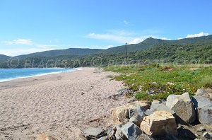 Plage de Capicciolo - Plage de Campitellu - Olmeto