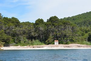 Plage de la Tripe - Bormes-les-Mimosas