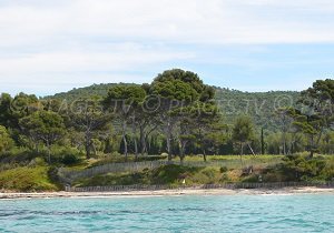 Plage de la Vignasse - Bormes-les-Mimosas