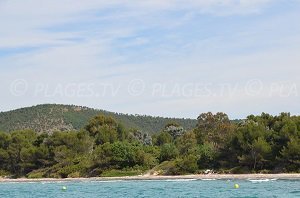 Plage de la Mère Dieu - Bormes-les-Mimosas