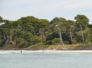 Spiaggia dell'Estagnol