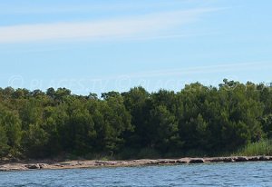 Plage de la Chapelle Saint-Georges - Bormes-les-Mimosas