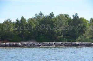 Spiaggia della Punta del Pellegrin - Bormes-les-Mimosas