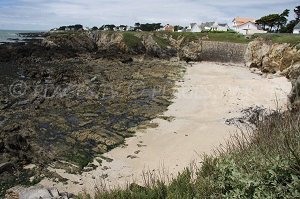 Plage de la Pointe de Penchâteau