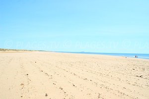 Spiaggia Orpellières