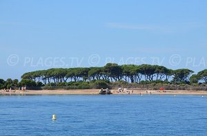 Plage de Sainte Anne - Iles de Lérins - Ste Marguerite