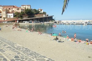 Plage de Cerbère - Cerbère