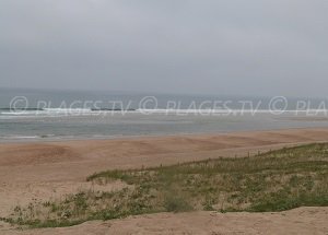 Beach of Chênes Lieges - Moliets-et-Maa