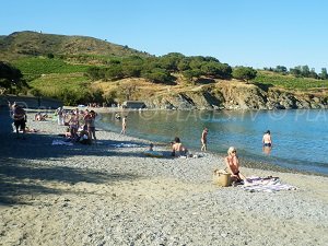 Strand Bernardi - Port-Vendres