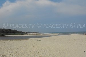 Spiaggia di Calzarellu - Prunelli-di-Fiumorbo