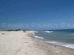 Plage d'Alistro - San-Giuliano