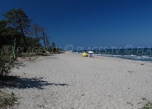 Plage de Padulone