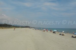 Plage de Padulone - Port Taverna