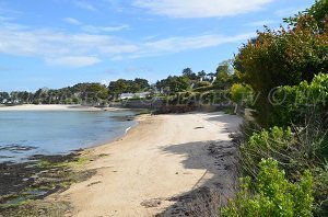 Plage du Port - La Trinité-sur-Mer