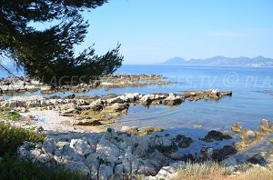 Saint Caprais Cove - Iles de Lérins - St Honorat