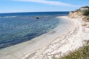 Plage de Patrimonio - Patrimonio